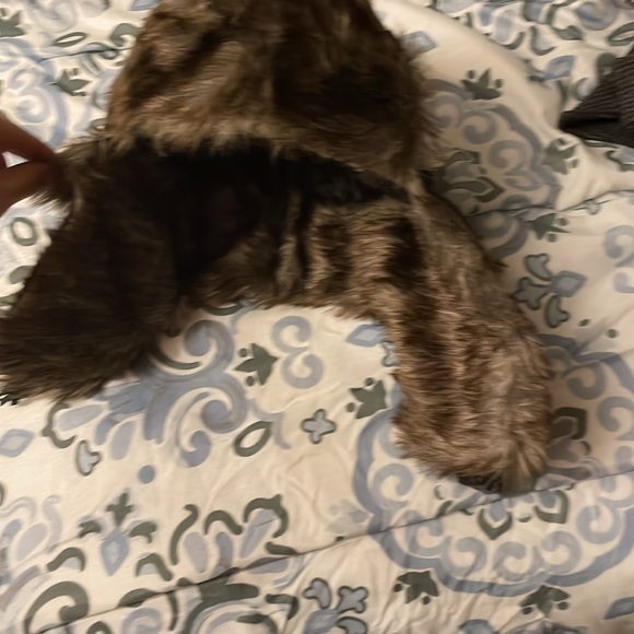 Russian hat - Picture 2 of 2